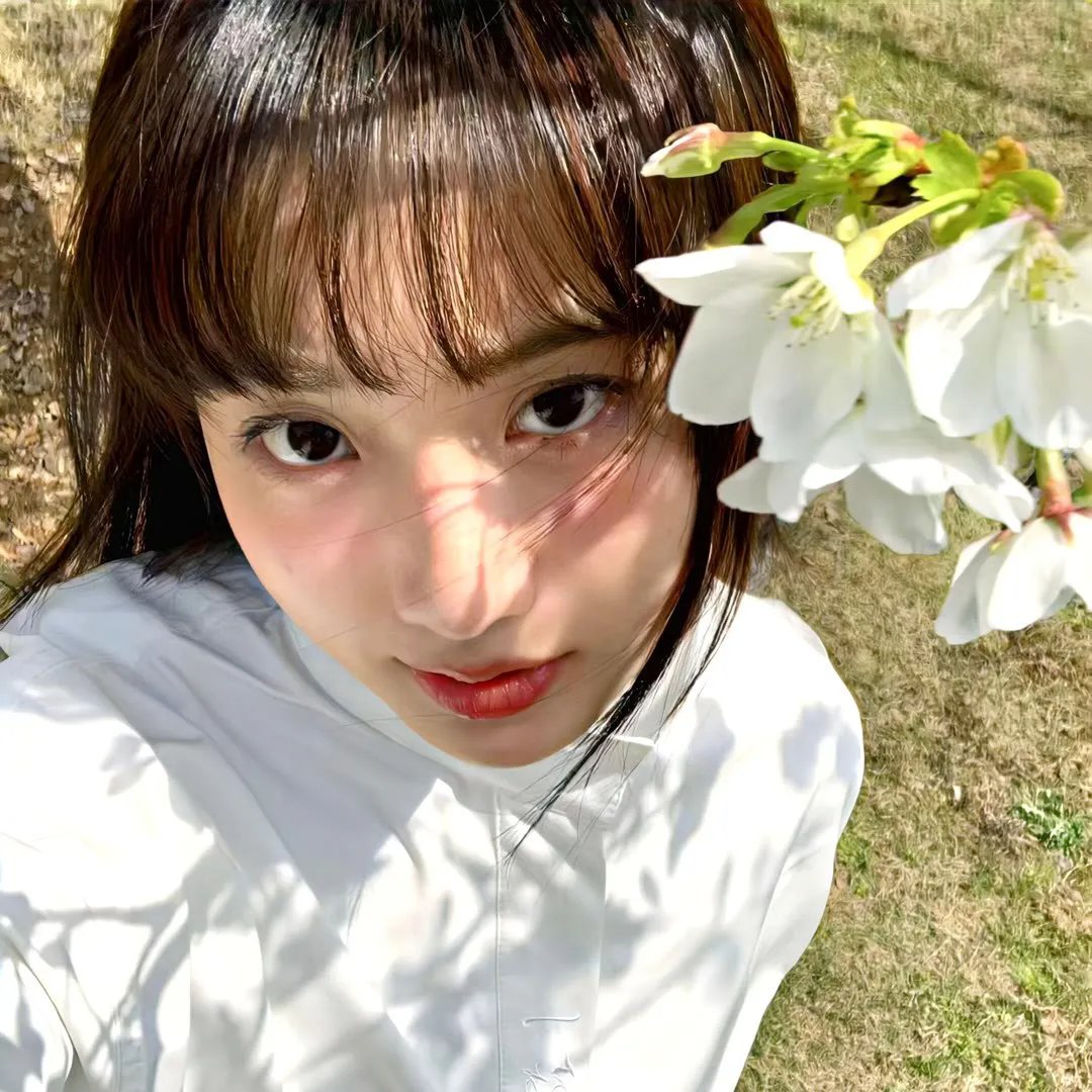 蜜月杀手封面